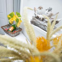 PG Stays - Spacious Rooms with Shared Facilities