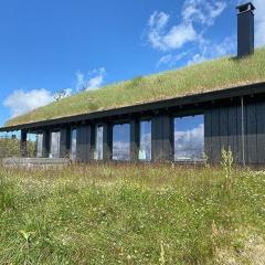 Mountain Cabinin Valdres