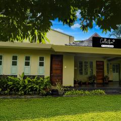 Super Collection O Chalakkudy River Annamanada Formerly Svasthya Retreat