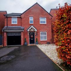 PG Stays - Spacious Rooms with Shared Facilities