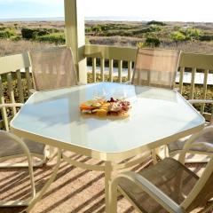 PW1369: 1369 Pelican Watch