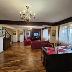 Penthouse Renașterii Amazonia