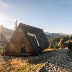 УЛІС Ворохта