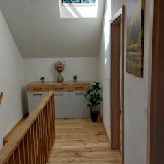 Apartmán u Dolní Moravy