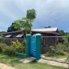 Caribbean House