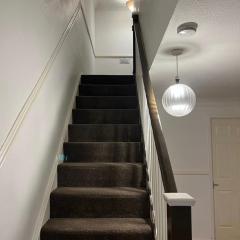 Midtown cozy hideout