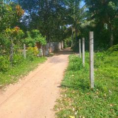 Wandana Holiday Home