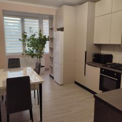 Квартира в центрі міста