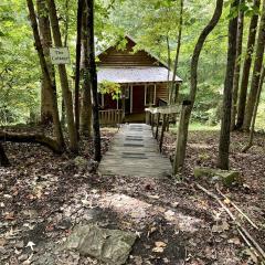 Secluded Woodland Cabin Rental with Hot Tub in Yadkin Valley Wine Region