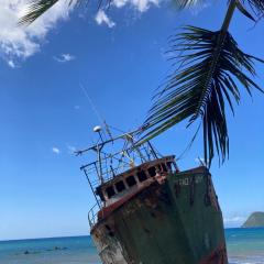 Dominica Seaside Beaches & Attractions Tour