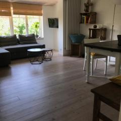 Gemütliche grosse 2 Zimmer Wohnung mit grosser Terasse in Seenähe, Höristrasse 8 in 78343 Gaienhofen