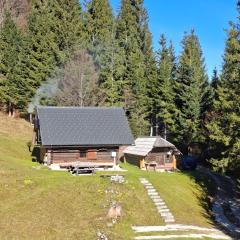 Brunarica na Goreljeku, Pokljuka