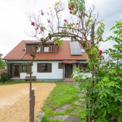 Monteurzimmer Küche Balkon WLAN TV 1bis12 Personen