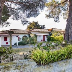 Trilocale al Taunus, con giardino e posto auto - N082