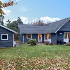 Nice Home In Hemmet With Wifi