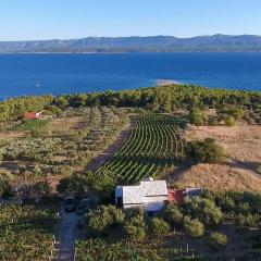 Beautiful Home In Bol