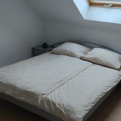 Grüne Auszeit Dresden