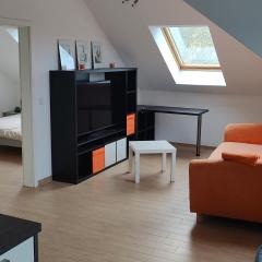 Grüne Auszeit Dresden