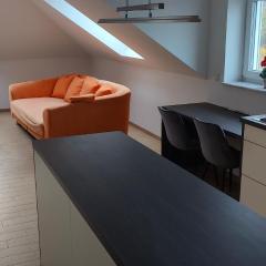 Grüne Auszeit Dresden