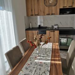 Leona C0 - Moderan apartman blizu ski staze
