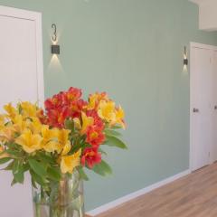 Capsulas privadas individuales con rooftop, vistas a la catedral y baño compartido