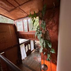 Maravilhosa Casa da Floresta