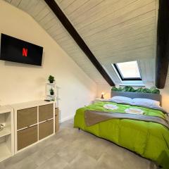 Urban Green, Inalpi Arena - Lingotto - Stadio Olimpico - Centro