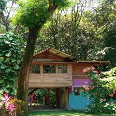 Casa Pitahaya Marbella with AC, Swimming Pool, Skate Bowl & walking distance Beach for Surfers and Nature Lovers