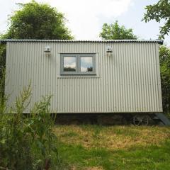 The Organic Cotswolds Shepherds Hut