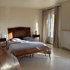 Le Mas des Vignes en Drome provençale