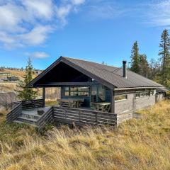 Utsikt mot fjellene Ski in out 16 sengeplasser