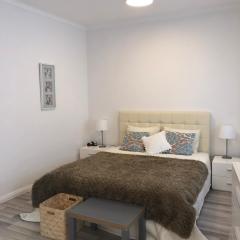 One-bedroom apartment in the city center