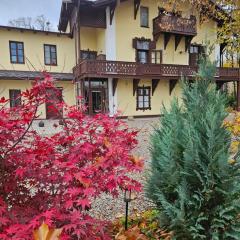 Villa Musik - historical apartments, Baden
