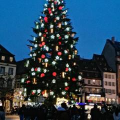 Hébergement 4 personnes proche centre ville Strasbourg