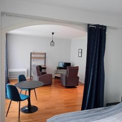 FORUM 134, 36 m2 en plein centre ville