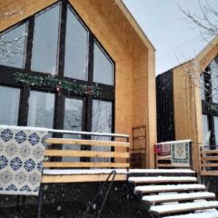 4 Chalet near Borjomi