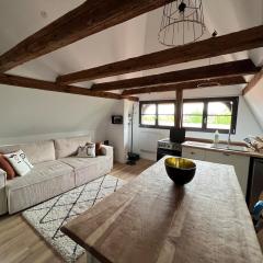 Sous un toit de Sélestat