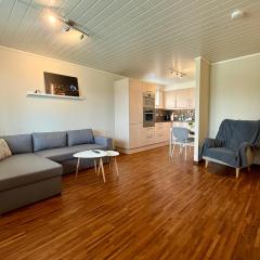 Romslig leilighet nært sentrum