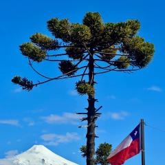 Departamento Pucón Pinares Residence