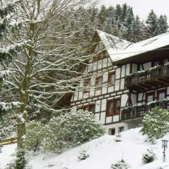 Flat in Schmallenberg with garden