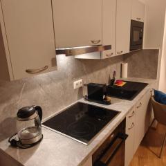 Luxury Stylish Penthouse with Free Parking