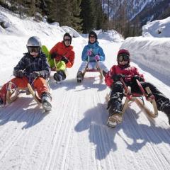 Chalet in Valais near Ski Lift & Saas Valley