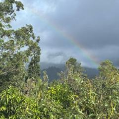 Ella Morning Sunshine