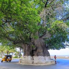 Majunga village touristique