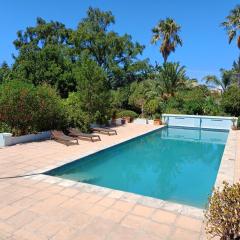 Pool House at the Old Victorian