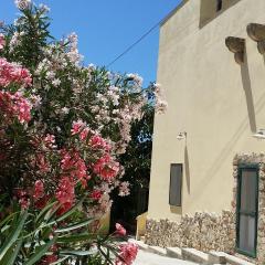 Agriturismo Tenuta La Siesta