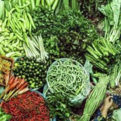 SPOT ON 90179 Moza Inn