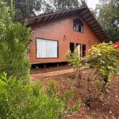 Dharti - Soil Stories