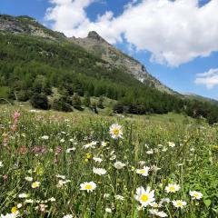 Le Nid des Rouges Gorges