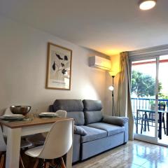 APCOSTAS Palmavera Playa de la Conxa